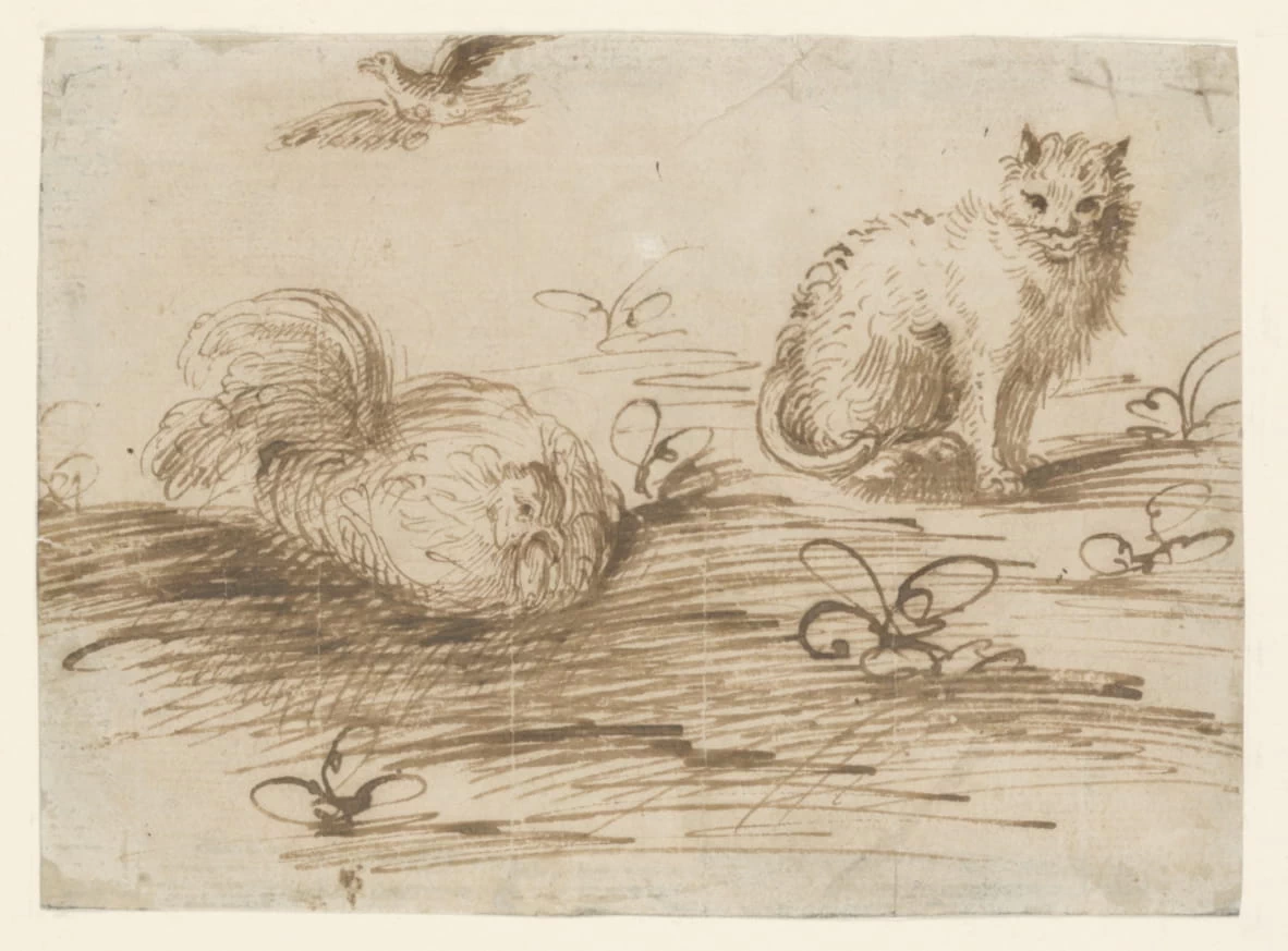 Un gatto e una gallina - Smithsonian Institution, Gift of Mrs. Grafton H. Pyne